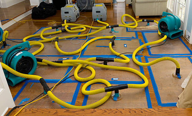 Professional Flood Damage Restoration technician working in Universal City, CA